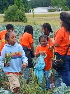 IMG_20260627_152825 (3)